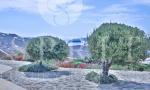 villa-sunshine-outdoor-areas-10.jpg - LBL_ALQUILER_VACACIONAL_ENMykonos, Mykonos Town